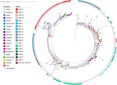 Genomic Characterization of Carbapenem-Non-susceptible Pseudomonas aeruginosa Clinical Isolates From Saudi Arabia Revealed a Global Dissemination of GES-5-Producing ST235 and VIM-2-Producing ST233 Sub-Lineages